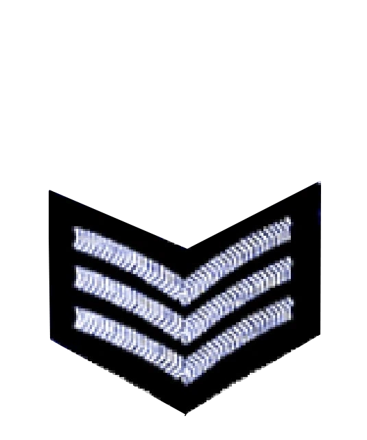Air Vice Marshal